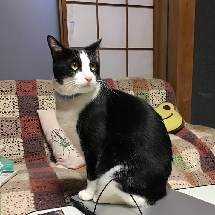 3a43f08e 89d3 4b71 ac83 1356ae631c13 1736669647567