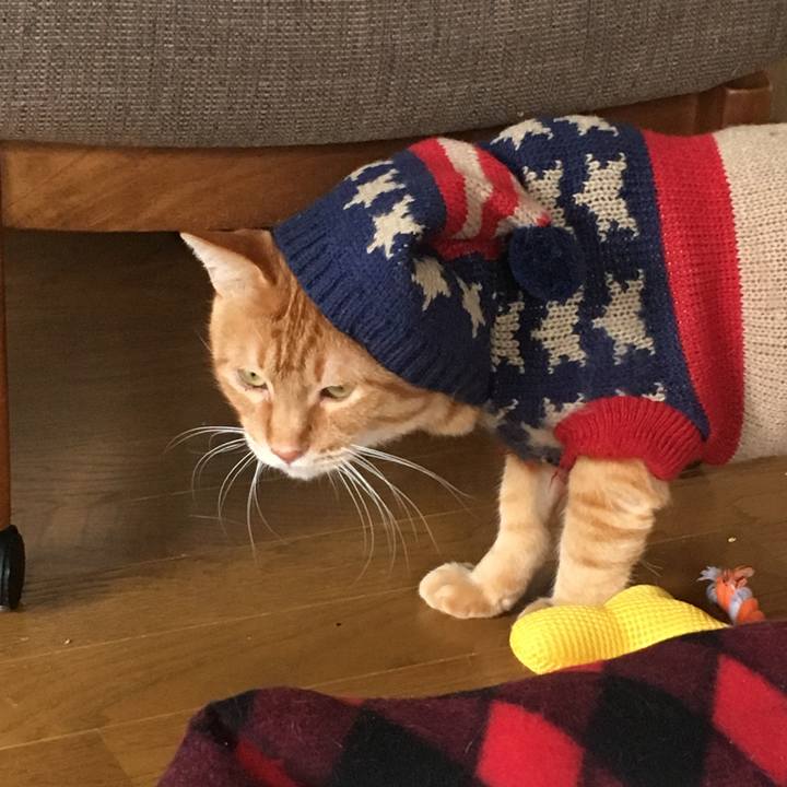 3a44121b ae50 4f90 b938 03402f16a3b2 1542010901149