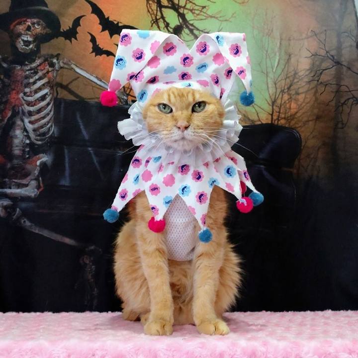 3a44abfa 43a3 461b b487 35d58c76a38c 1696215886444