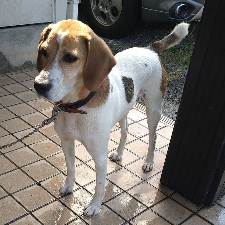 3a44f5f1 eb37 4b51 96d0 9e4bfcef3b83 1654776685497