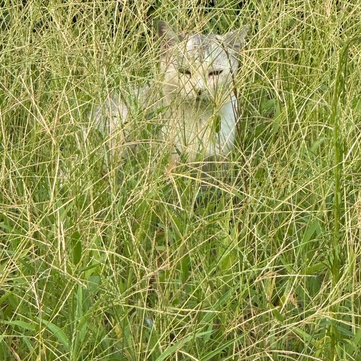 3a44fe2f 0d3b 4ecb 8b8e c28af2ef95ff 1756176570119