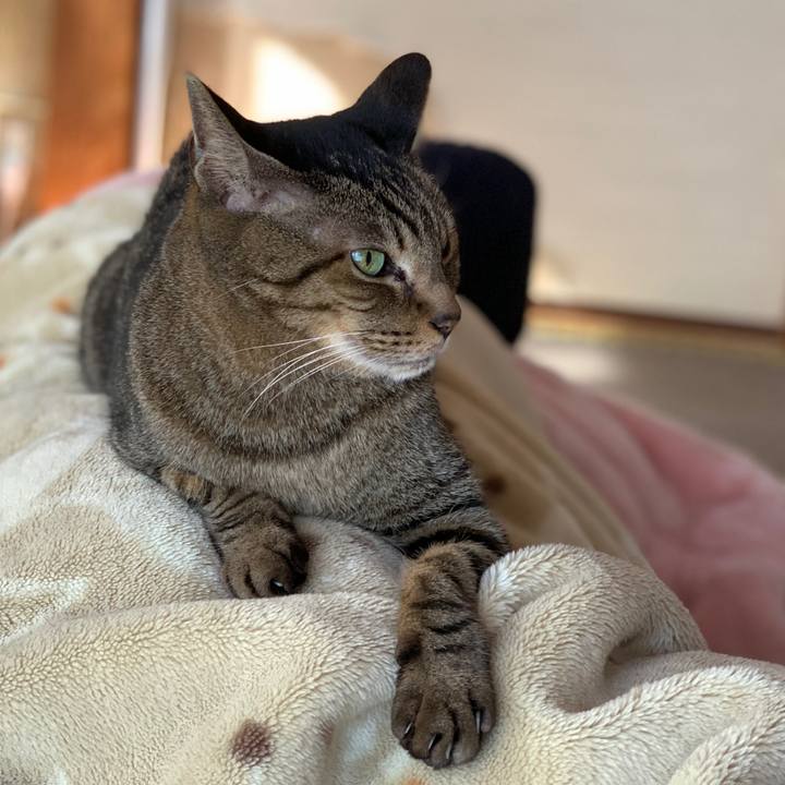 3a450143 0cd4 45f0 8f60 8a12c5ae5b50 1582076569170