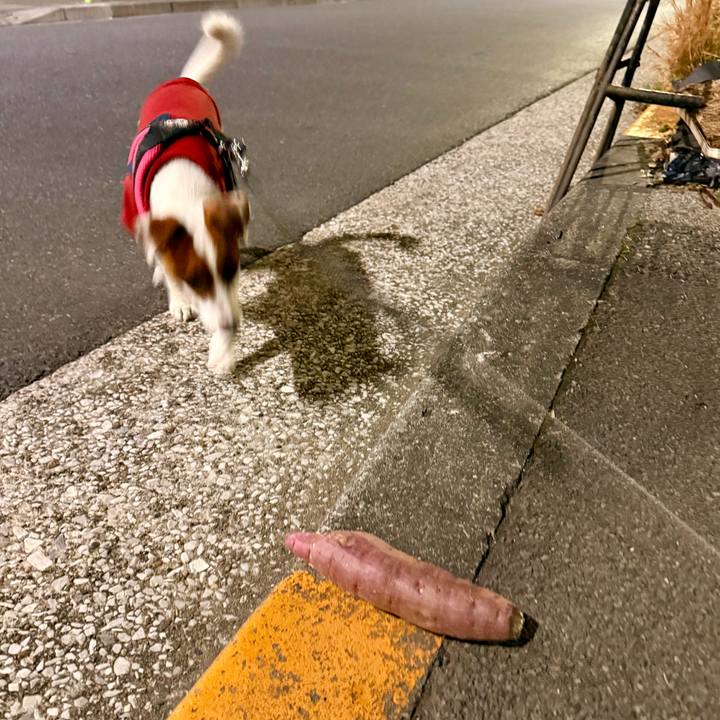 3a4507a1 ff55 46b2 8f79 9a1870b7c540 1765283613060