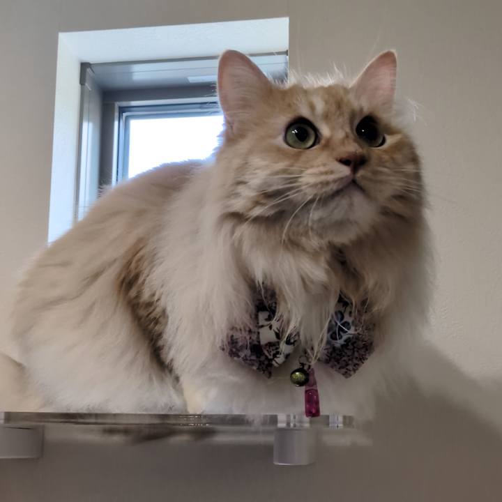 3a4546b6 71f5 47cc 8aa5 f04035c5d7a5 1750412254173