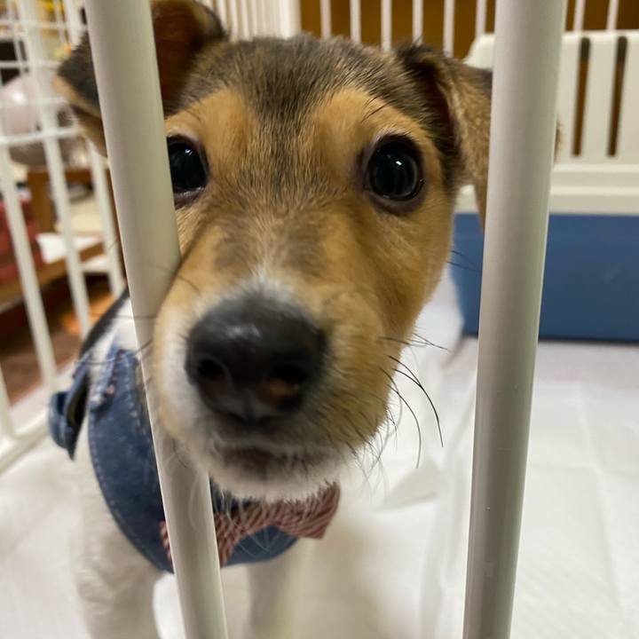 3a456ecb 4d2d 4482 859c 18e0e09171dc 1743340071294