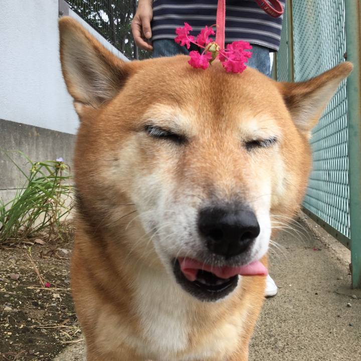 3a45920d b2a7 445b 923b 973f883a73c3 1567320036787