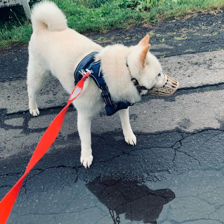 3a459b22 93d8 4e12 beb3 8c79c12f1295 1625521407249