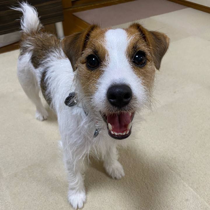 3a45cdb5 b94a 43f6 b17f 1952eabc9d30 1665704054255