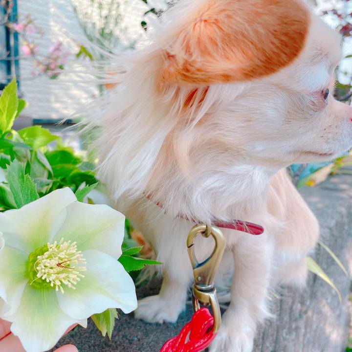 3a45d760 ee4c 460b b9fb 38b69b8685e4 1646122870902