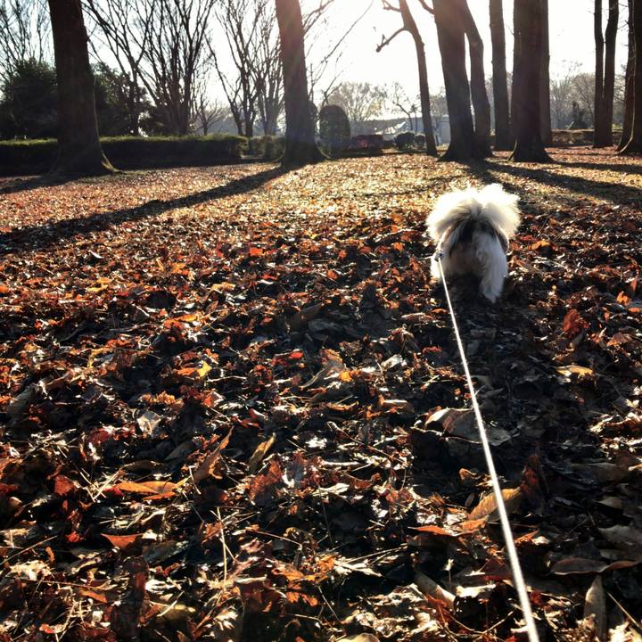 3a45e522 8bbf 48db bf5f 5f77fd1e79ef 1512871143535