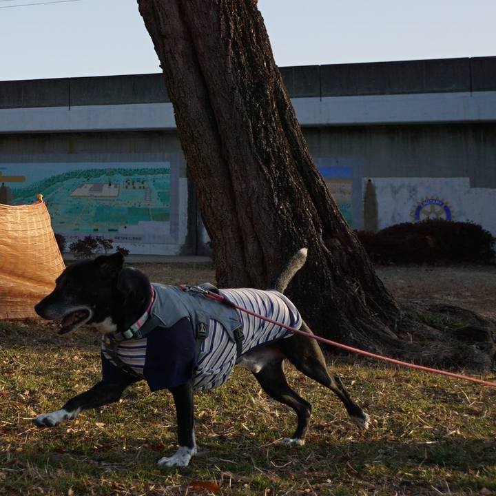 3a45feac f9bb 4590 ba8a 0f8ceebce915 1768870570511