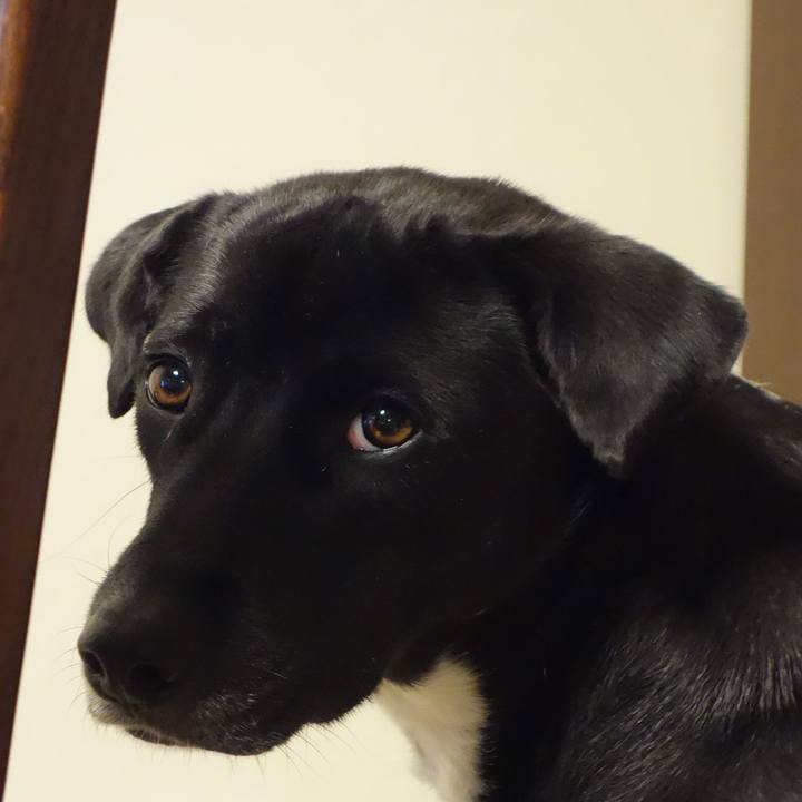 3a46189a f9b0 48f4 b56b 7b0103bcf347 1586735347496