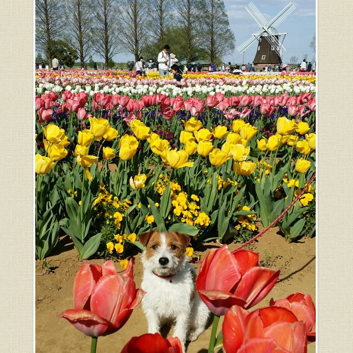 3a461c1a 55c0 47e8 80df 9c5d3d73f397 1523176224049