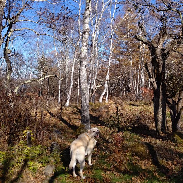 3a469e58 df05 4596 8cac 499d8af1985d 1698814323819