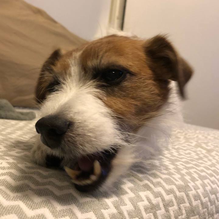 3a46a78f c7ee 45de 8c2e 1c08d5573abc 1612609646897