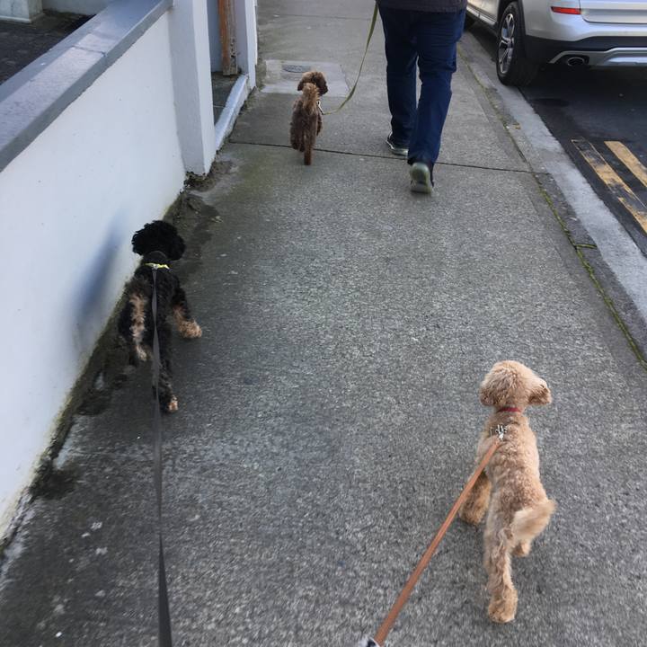 3a46c460 22c2 4d12 9ffb 7be002c48548 1540743440258