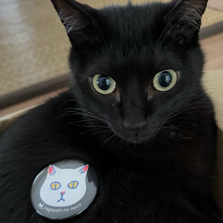 3a46d06a 23da 4171 8be7 95eecea0c8f6 1720858430782