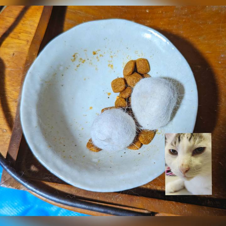 3a46d175 c419 4219 a242 c1d88f533ad9 1693560086656