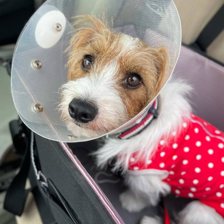 3a46f6af 892b 4a8e a411 32fc2d444a2b 1758935393896