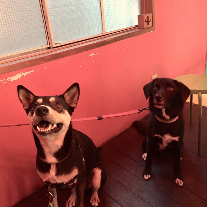 3a470400 0cd6 4bd3 8795 e76b36e93fa9 1543044504325