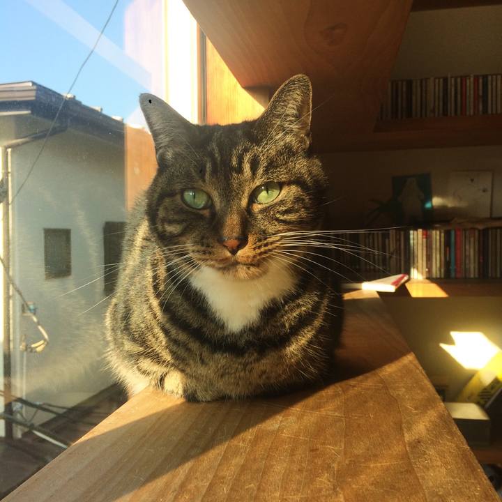 3a4705bc 0605 4960 8ff3 07bd8a39c962 1508371085928