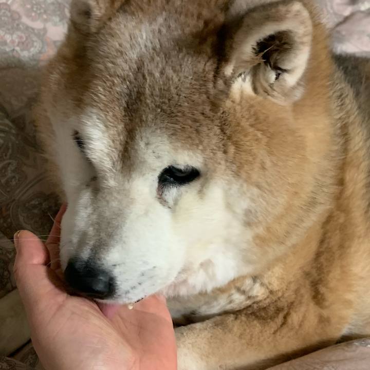 3a471fd5 6ef6 4ca4 81b2 754090b9088f 1646263374369