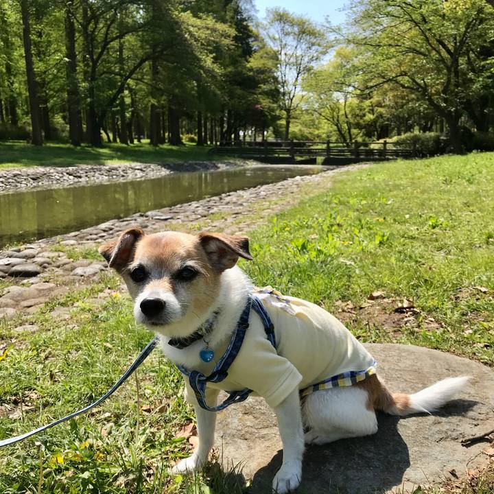 3a4725cd eb59 4012 8271 ad00044bdbd8 1618121475195