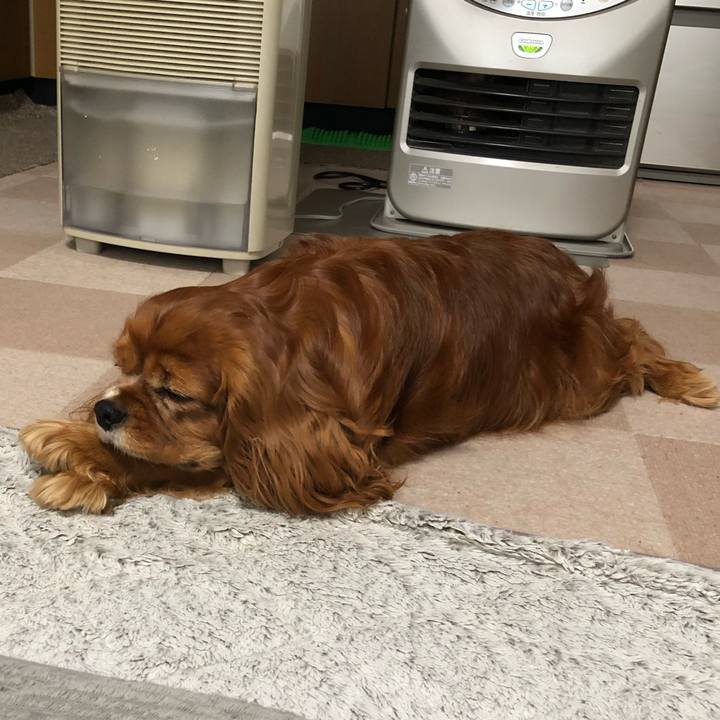 3a47450c 805f 4177 866b cb2de33ad5f0 1647986971031