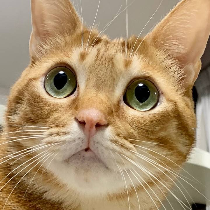 3a476225 c52a 4eca 8362 4448e034a35d 1659134658495