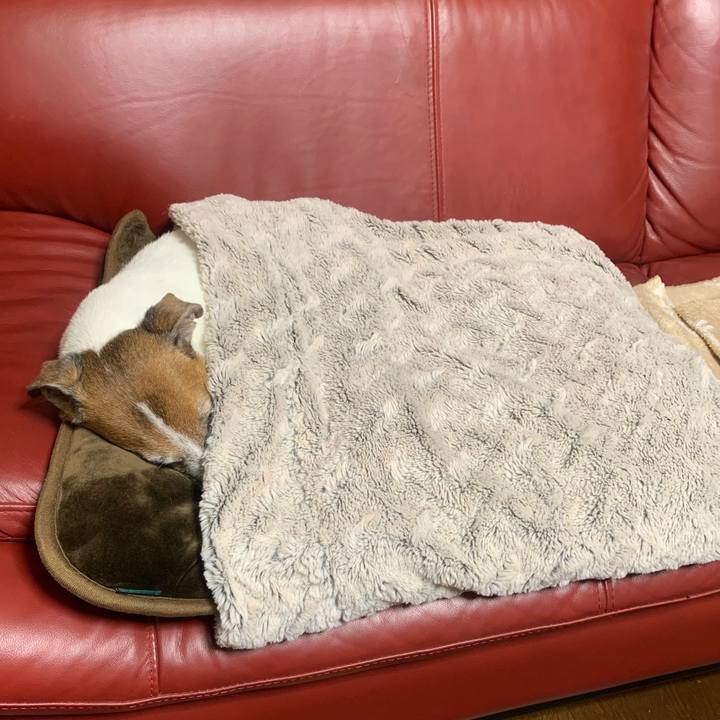 3a478491 bd72 4748 ba74 5c14e09ff66b 1541333787649