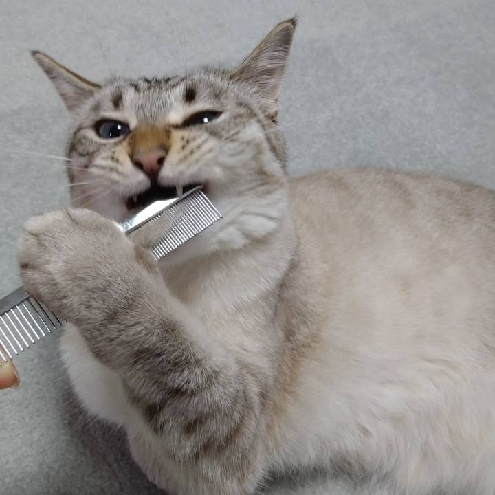 3a47bbfb 72bf 4283 b53d 97068f2d76f8 1624704655988