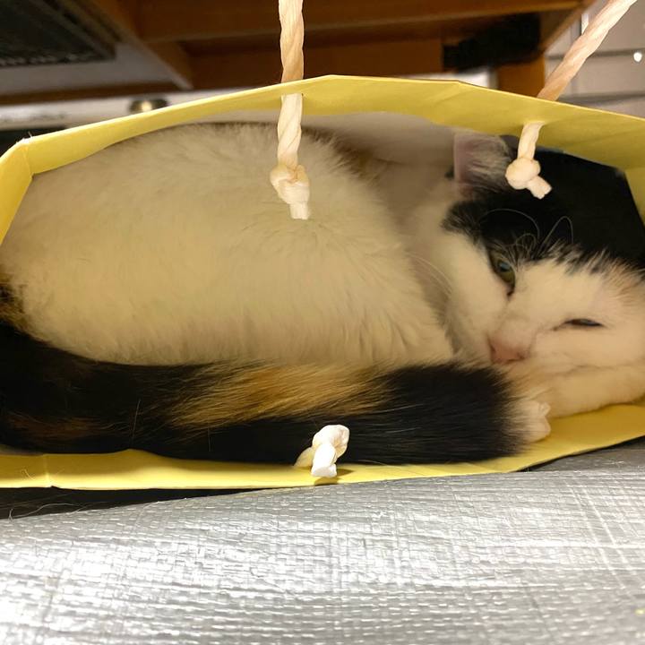 3a47e2a1 d862 4a75 ab9c df637727cad7 1652369593836