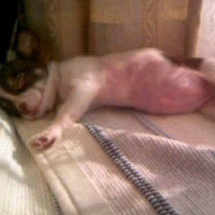 3a47e656 9437 4cb2 8296 dff64457921f 1535257595795