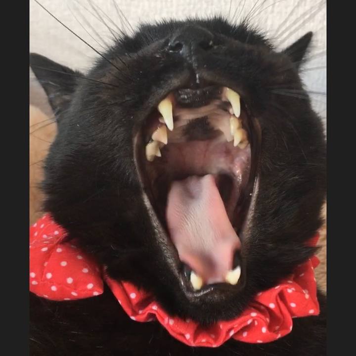 3a47f212 6352 43fa 97e5 f98ff491a133 1547546701488