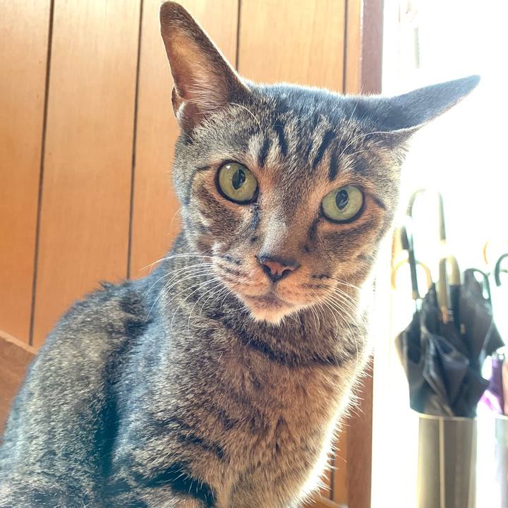 3a481193 cadd 478b 9a61 bb4dd0ca3ad2 1566695043793