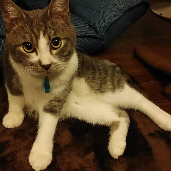 3a486e54 8e2f 410f 9ac2 8a6c01596e2e 1572885723361