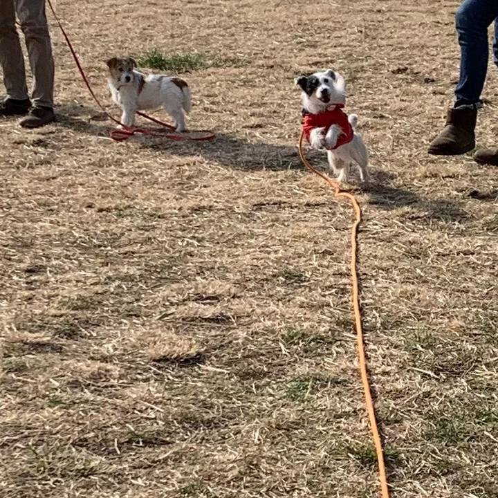 3a48849c d006 41fb af2a 092e191683ef 1707443558439