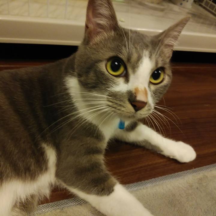 3a4885cd 631b 412e 8d1b ebfe3f2a50f3 1595584550474