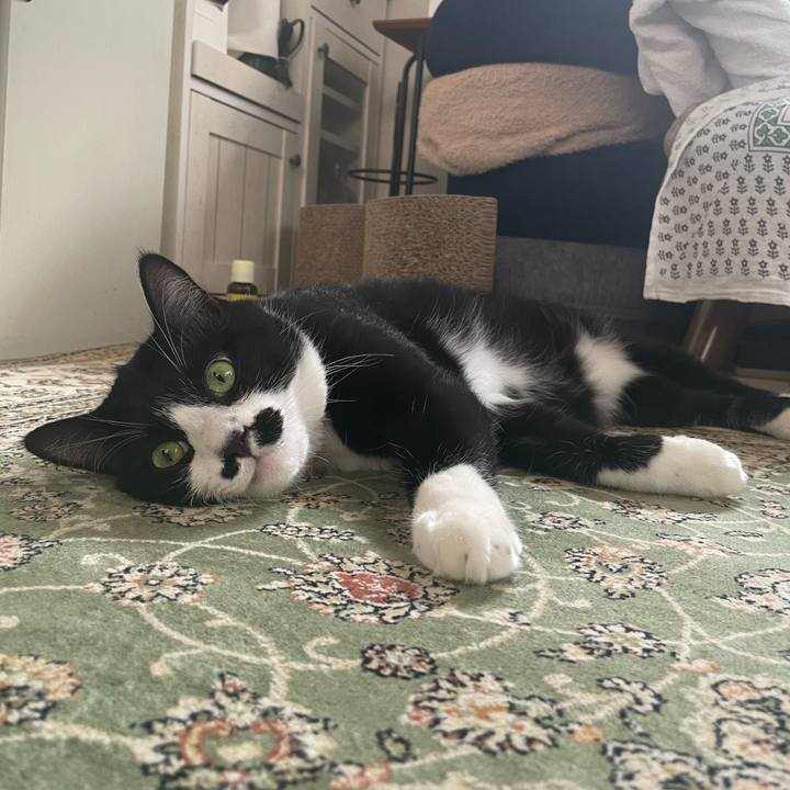 3a488ea5 2028 4ccb a0f8 ce3f441e9a45 1756189298284