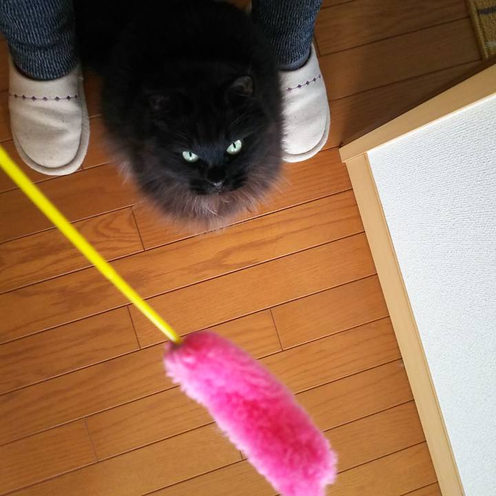 3a489697 a59e 4e9a 806f e3c915e1b528 1575686659246