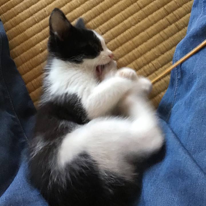 3a489736 211f 4e25 be28 9e87bc5610f7 1623723047051