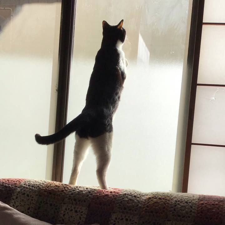 3a49083b 4e32 455c bb43 08e622654189 1711063609732