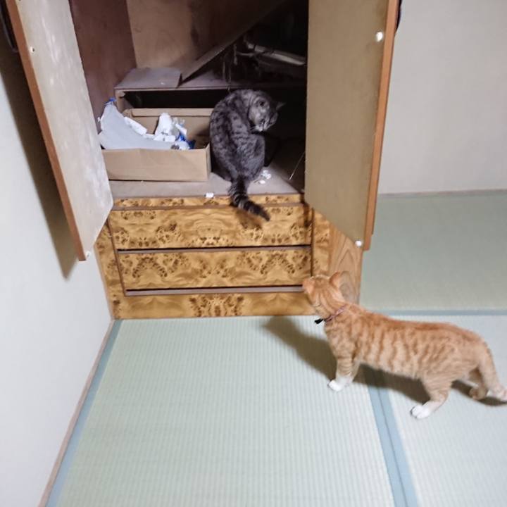 3a492b25 b561 492d ad7f d8a56d1961e4 1565092798454