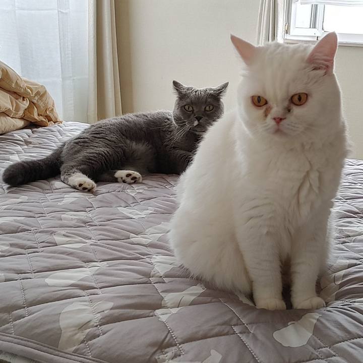 3a4944c0 c79b 49c4 9e37 e846fa6a23a1 1627687467349