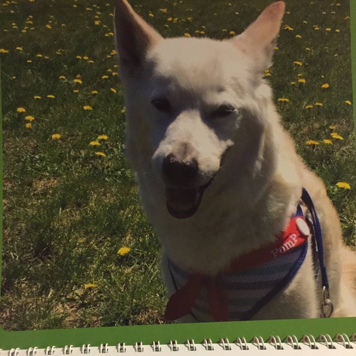 3a498e72 4f71 47cd 9884 387ac7b62789 1525096220433