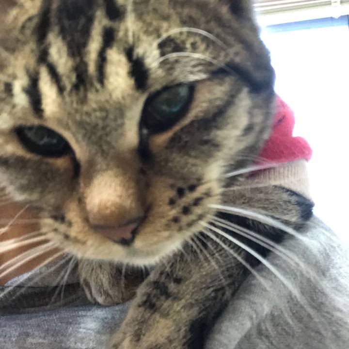 3a499970 9d13 4985 b3c1 0d5209ddd883 1739570826765