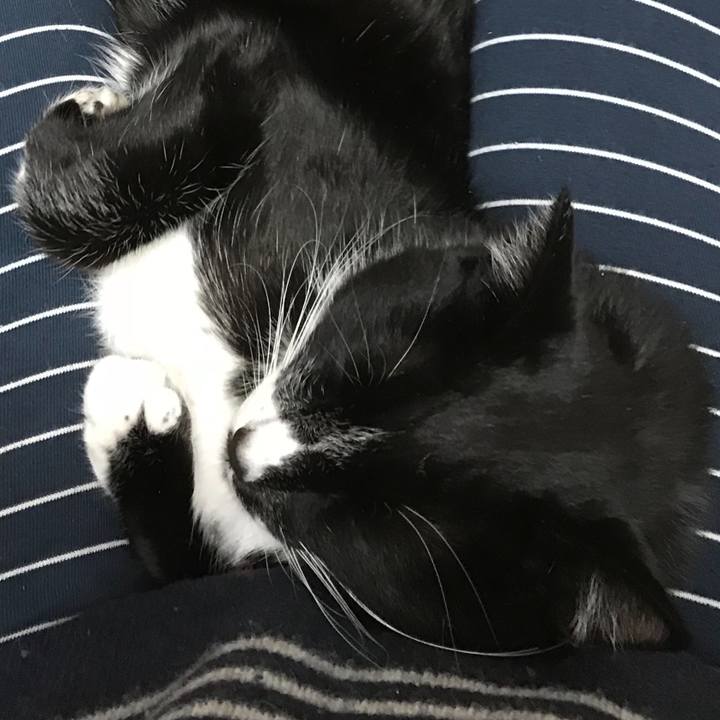 3a49a26f 7b66 42b4 a2a3 52249f4562b8 1545796454184