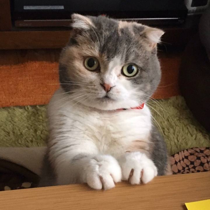 3a49bb93 c5e6 4432 a887 0ec315446649 1574847000283