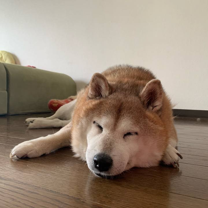 3a49bd4d d874 462e 8d70 0f461911eb60 1597384872996