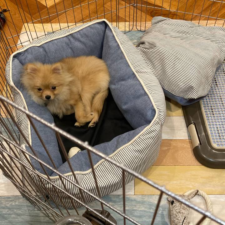 3a4a20df 7bb8 4ae2 ab70 695472744506 1642410458313